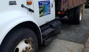 Mr. Mendez tree Service