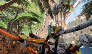 Wolverine Arbor Services