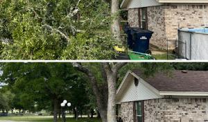 Rooted In Texas Tree Care