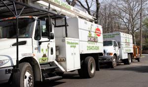 Monster Tree Service of Bucks & Montgomery Counties