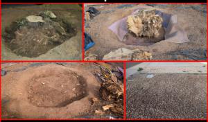 Affordable Stump & Tree Service