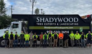 Shadywood Tree Experts & Landscaping