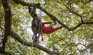 Truetimber Arborists