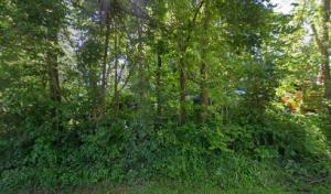 Afton Septic Services
