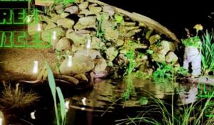 Ultimate Landscaping & Tree Services