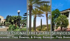 Supreme Tree Experts