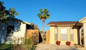 Steel Roots Tree Services