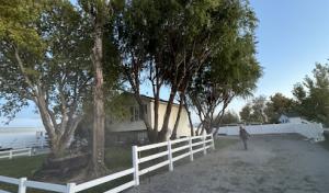 All Pros Tree Service