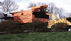 Hancock Tree Service