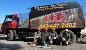 USA Tree Services