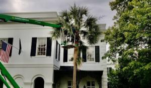 First Choice Tree Care