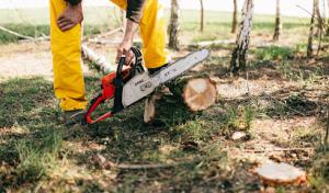 Fall Line Tree Service