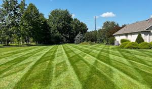 Kunkle & Sons Property Maintenance