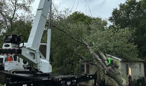 Ziemba’s Tree Service