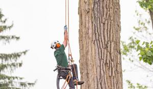 The Davey Tree Expert Company