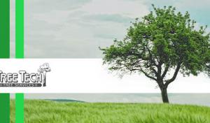 Tree Tech Tree Services