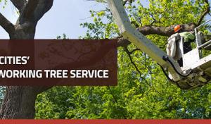 Vital Tree Service