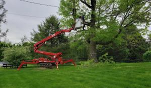 BetterScapes Lawn, Shrub & Tree Care