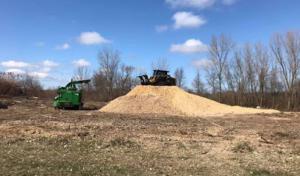 Clemons Tree Service