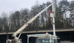 Paul Bunyan Tree Service