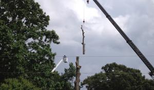 Hultgren Tree Service