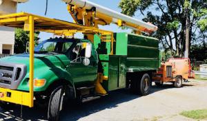 AG & B Professional Tree Service