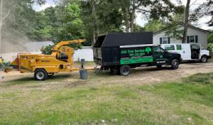 AAA Tree Service & Landscaping
