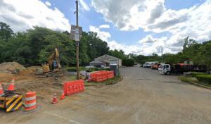 Mickiewicz Arbor Experts