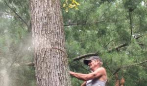 Arbor Barber Tree Service (BUSINESS CLOSED)