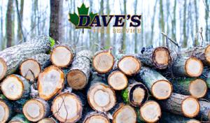 Dave's Tree Service