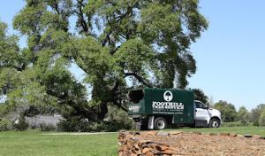 Foothill Tree Service