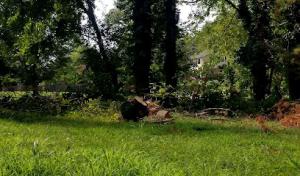 WoodFellas Tree Service