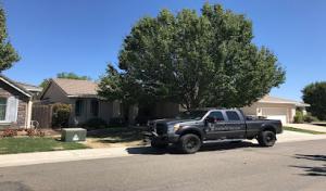 Elk Grove Tree Service