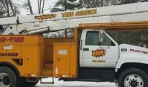 BAM Tree Service