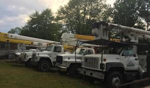 AAlways moving tree service