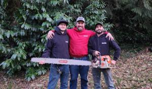 Sauve & Sons Tree Work