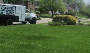 Liberty Tree & Mulch