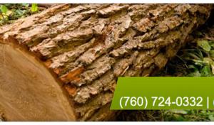 Vista Valley Tree Service