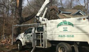 Low Rate Tree Service
