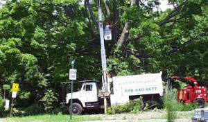 Mc Cracken Tree Service