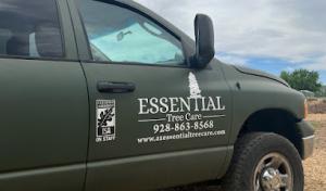 Essential Tree Care