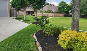 Fallen Branches - Trees & Lawn Care