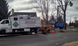 Diamond Tree Company