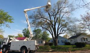 S & A Tree Service Fort Wayne
