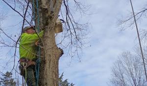 Smith's Tree Service