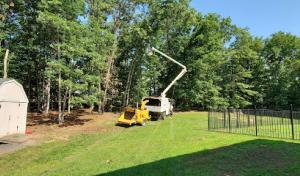 Smittys Tree Service