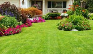 Kalscheur Septic Services