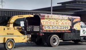 Kenny Lucas Tree Care