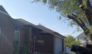 Tree Of Life Precision & Lawn Care Service