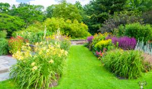 R.J. Davis Lawn Care